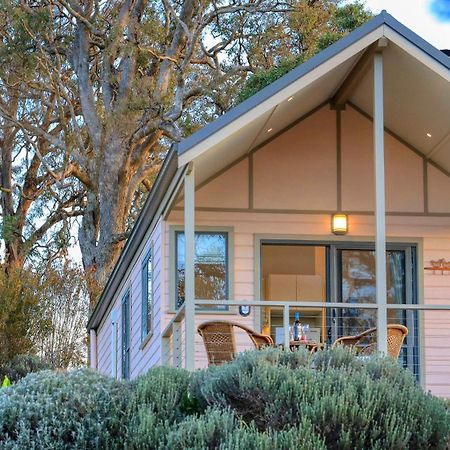 Grace Cottages Uralla Exteriér fotografie