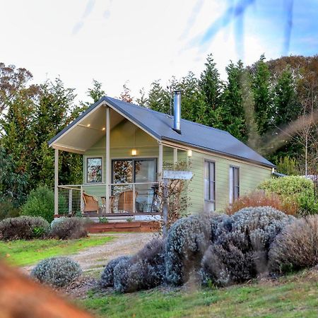 Grace Cottages Uralla Exteriér fotografie