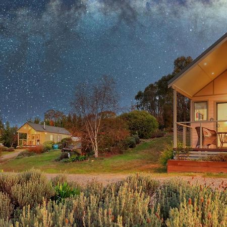 Grace Cottages Uralla Exteriér fotografie