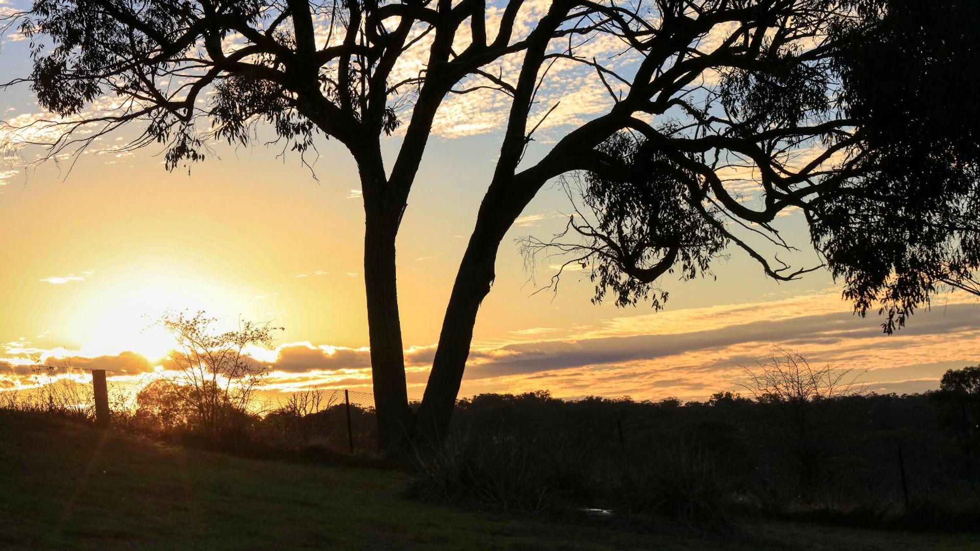 Grace Cottages Uralla Exteriér fotografie