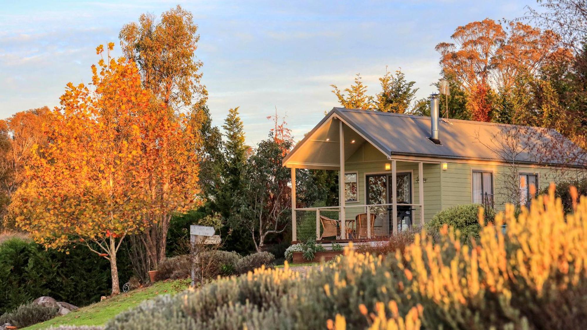 Grace Cottages Uralla Exteriér fotografie