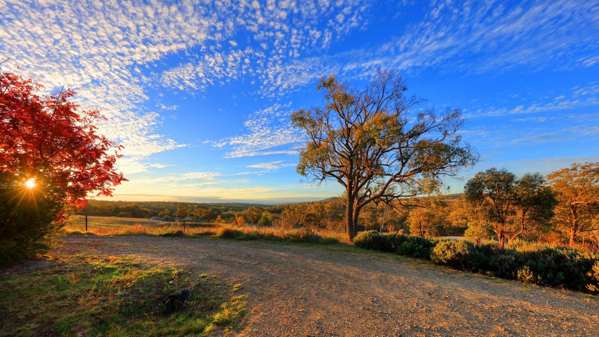Grace Cottages Uralla Exteriér fotografie