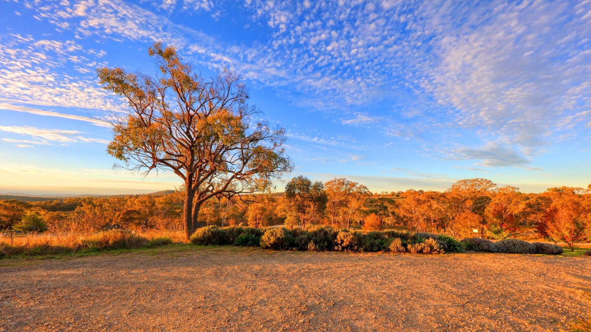 Grace Cottages Uralla Exteriér fotografie